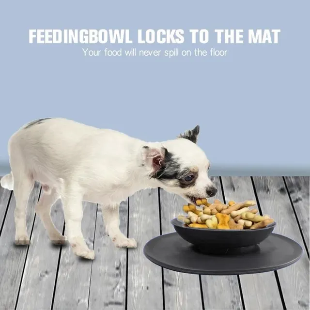 Silicone Suction Cup Folding Bowl for Dogs Black - Shop at LoveMi