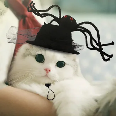 Funny Pet Dog Cat Costume Warm Hat Photo Props Headwear Spider - Shop at LoveMi