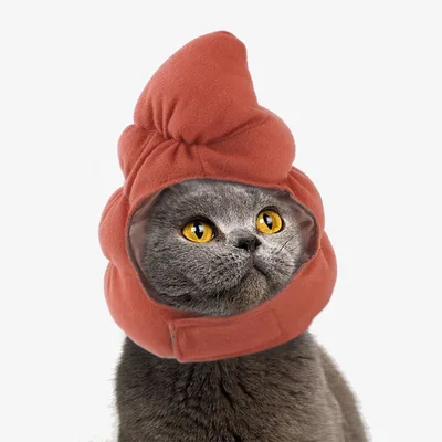 Funny Pet Dog Cat Costume Warm Hat Photo Props Headwear Stool Cap - Shop at LoveMi