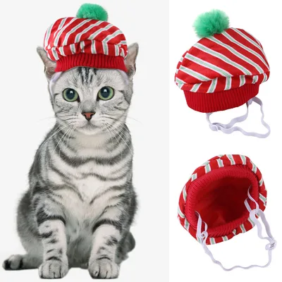 Funny Pet Dog Cat Costume Warm Hat Photo Props Headwear Striped Hat - Shop at LoveMi