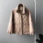 Lotus Color-S
