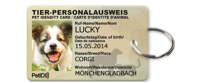Pet ID card Default - Shop at LoveMi