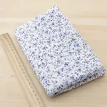White Blue Flower