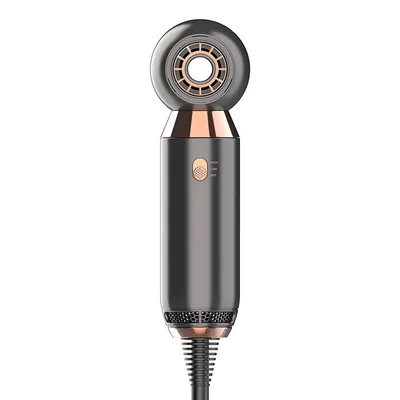 Professional One Step Portable Mini Leafless Hair Dryer Golden Gray - Shop at LoveMi