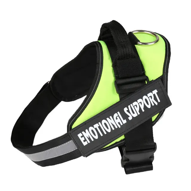 Dog chest strap lead Green - Shop at LoveMi