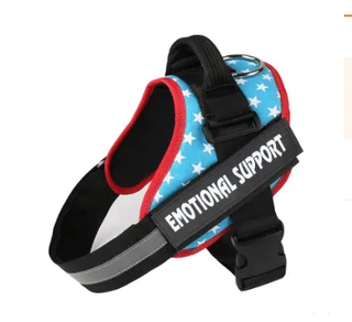 Dog chest strap lead - Pentagram - View 1