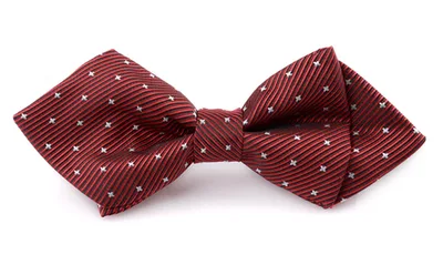 Pet Accessories Dog Bow Tie British Bow Tie Red - Shop at LoveMi