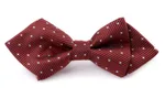 Pet Accessories Dog Bow Tie British Bow Tie - Red