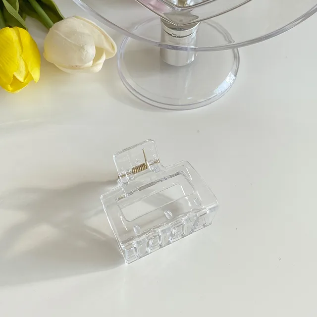 Japanese and Korean Hyuna Style Hairpin Transparent - Shop at LoveMi