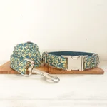 Dog Chain Collar