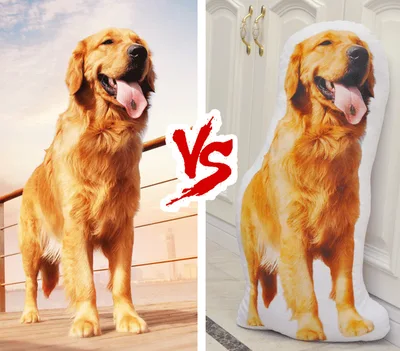 Vacuum PP Cotton Pet Custom Cute Pillow Two Sides - Shop at LoveMi
