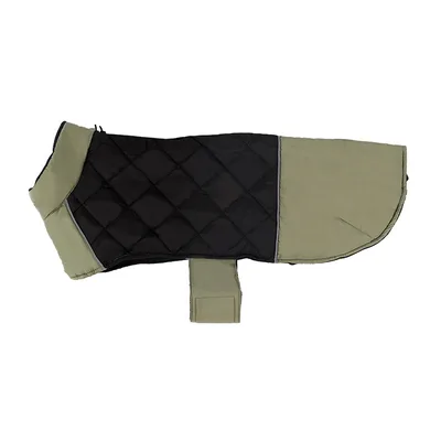 Large dog coat pet supplies Green - Shop at LoveMi