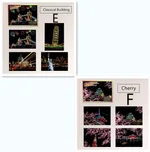 2 Style Set10