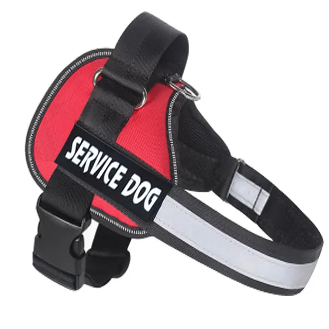 Labrador dog harness leash Red - Shop at LoveMi