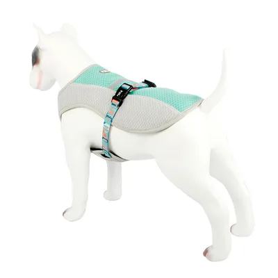 Cooling clothes for dogs Green - Shop at LoveMi