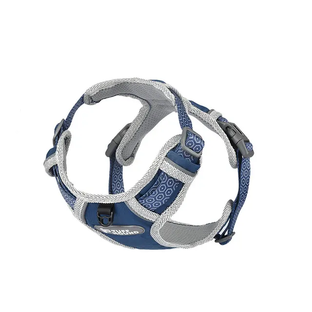 Chest strap traction rope dog chain Blue - Shop at LoveMi