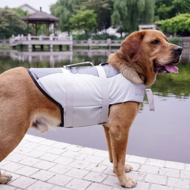 Pet life jacket Grey - Shop at LoveMi
