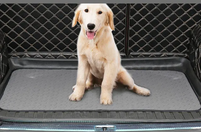 Dog stool mat Black - Shop at LoveMi