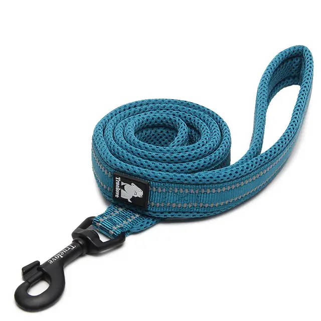 Pet dog leash Blue - Shop at LoveMi