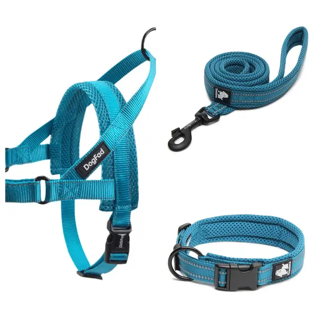 Pet dog leash Set - Shop at LoveMi