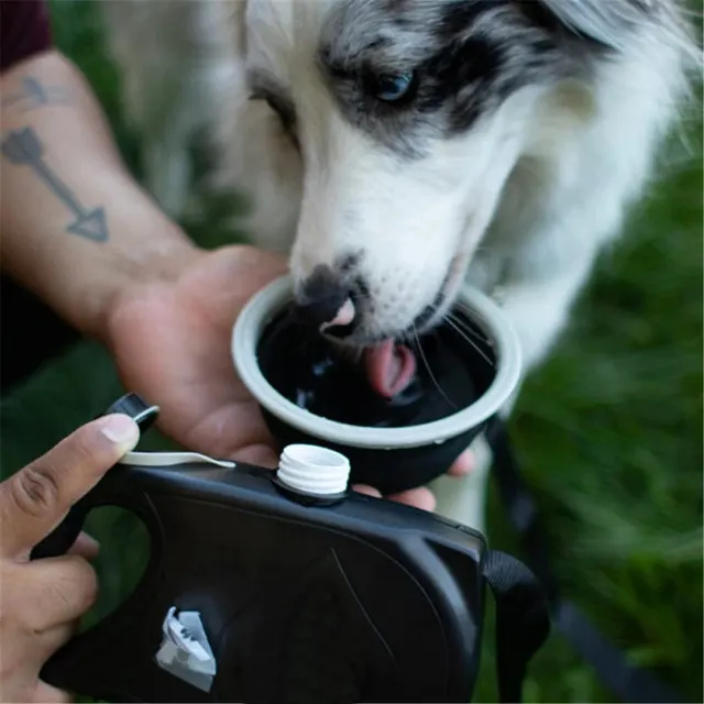 Pet traction rope kettle trash bag Black - Shop at LoveMi
