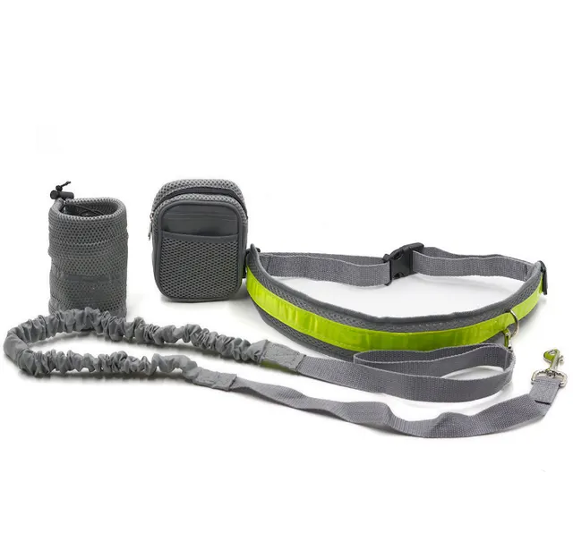 Adjustable Hands Free Dog Leash Gray - Shop at LoveMi