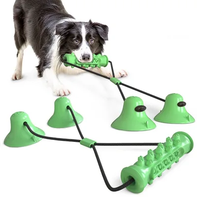 Suction Cup Molar Toy Chewing Bite Leaking Toy Green Double Disc - Shop at LoveMi