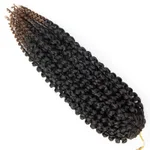 1B 30
