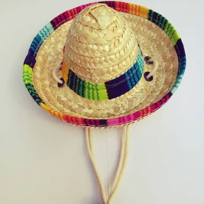 Straw mini pet straw hat B - Shop at LoveMi