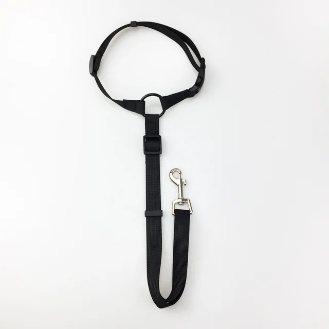 Pet safety leash Black - Shop at LoveMi