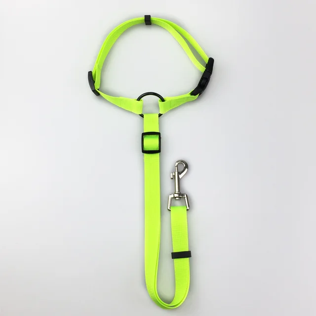 Pet safety leash Green - Shop at LoveMi