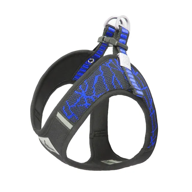 Pet supplies chest harness pet leash in stock Blue - Shop at LoveMi