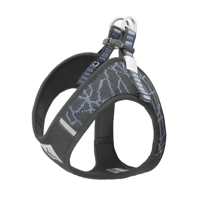 Pet supplies chest harness pet leash in stock Grey - Shop at LoveMi