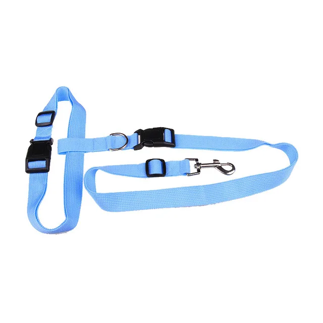 Special traction rope for dog morning running Blue - Shop at LoveMi