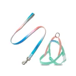 Green Leash Set