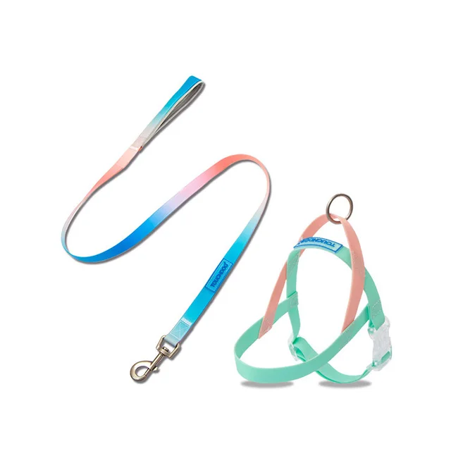 Pet PVC jelly gradient traction rope Green Leash Set - Shop at LoveMi