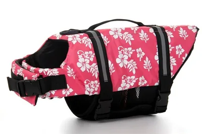 Pet swimwear cute dog life jacket dog swimwear big middle dog safety coat 06 - Shop at LoveMi