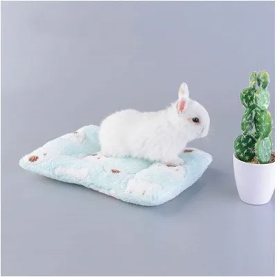 Pet rabbit cotton pad Green - Shop at LoveMi