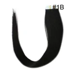 1B