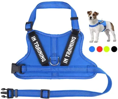 Personalize Per harness Blue - Shop at LoveMi