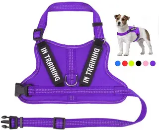Personalise Per harness - Purple