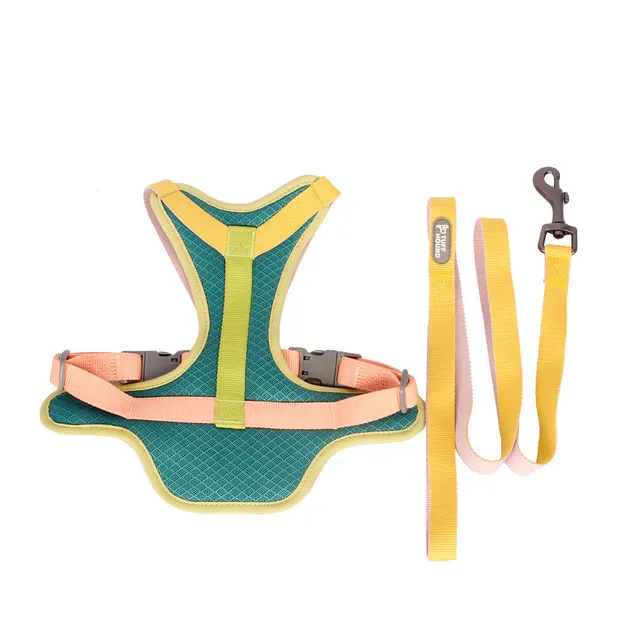 Pet chest strap dog leash Green - Shop at LoveMi