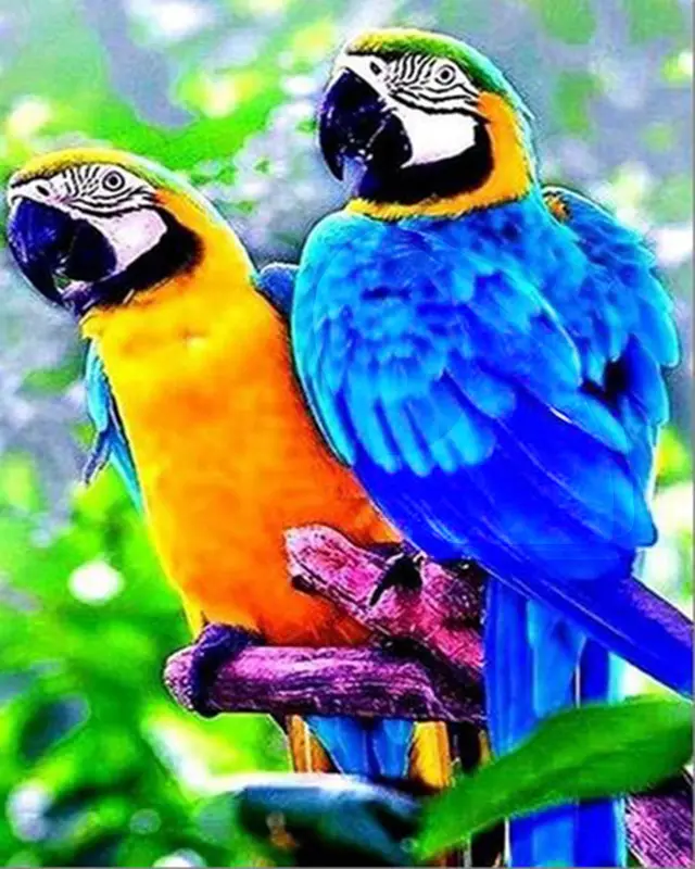 Parrot 5D Diamond Painting Living Room TV Cabinet Decoration Painting Picture - Shop at LoveMi