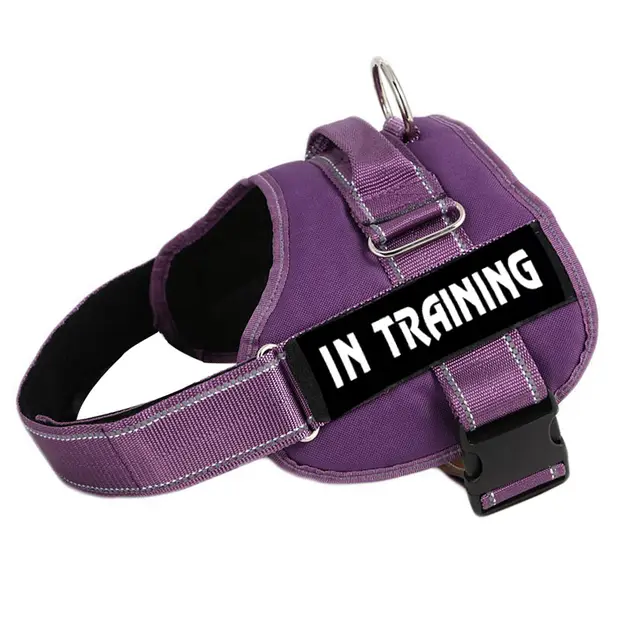 Dog chest strap with explosion proof Purple - Shop at LoveMi