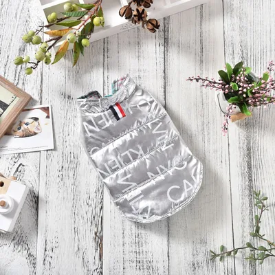 Dog Clothes Pet Two legged Tide Clothes Golden Retriever Samoyed Large Dog Silver - Shop at LoveMi