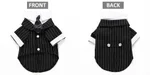 Striped Suit