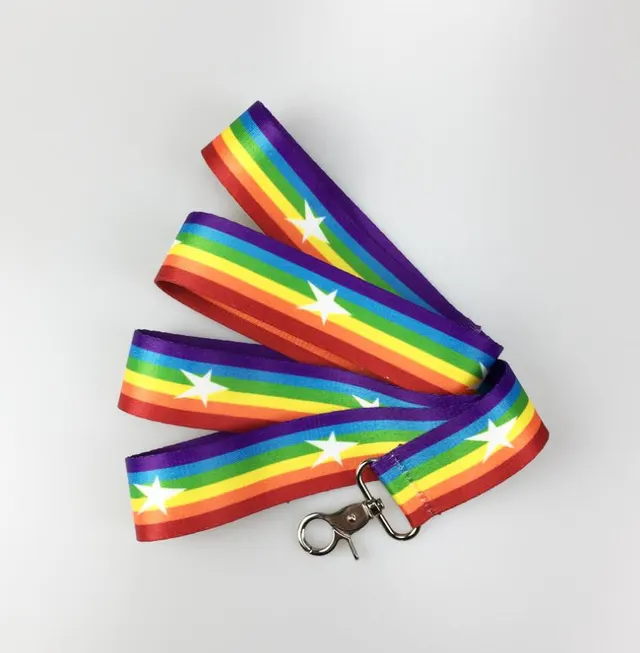 Rainbow cool dog chain dog leash Leash - Shop at LoveMi