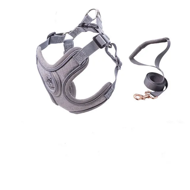 Small and medium sized PET strap collar traction rope Grey - Shop at LoveMi