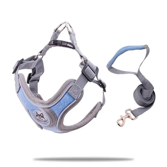 Small and medium sized PET strap collar traction rope Sky Blue - Shop at LoveMi