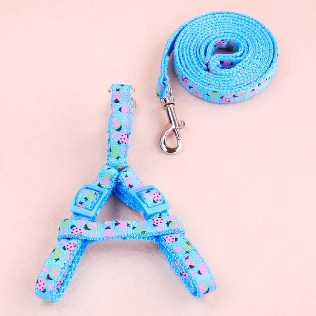 Pet patch traction rope set Sky Blue - Shop at LoveMi
